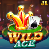 Wild Ace fast spin slot cover